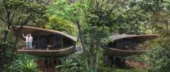 新加坡再建网红酒店！自然野生度假酒店你见过没？