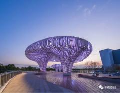 深圳滨海文化公园：高居“云端”的照明
