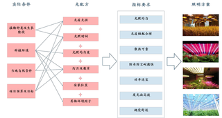 植物照明是什么？