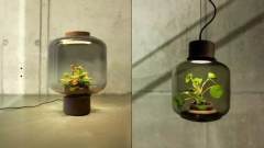 改变植物生长规律，这个植物灯是什么鬼？