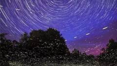 【萤火虫】大自然的流星雨