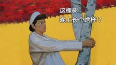怎么照好一棵树？