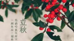 立秋 | 暑去凉来秋意浓