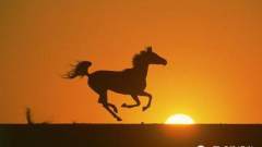 马背上的故事 — 14部关于马的经典电影