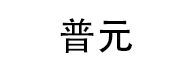 普元 LOGO