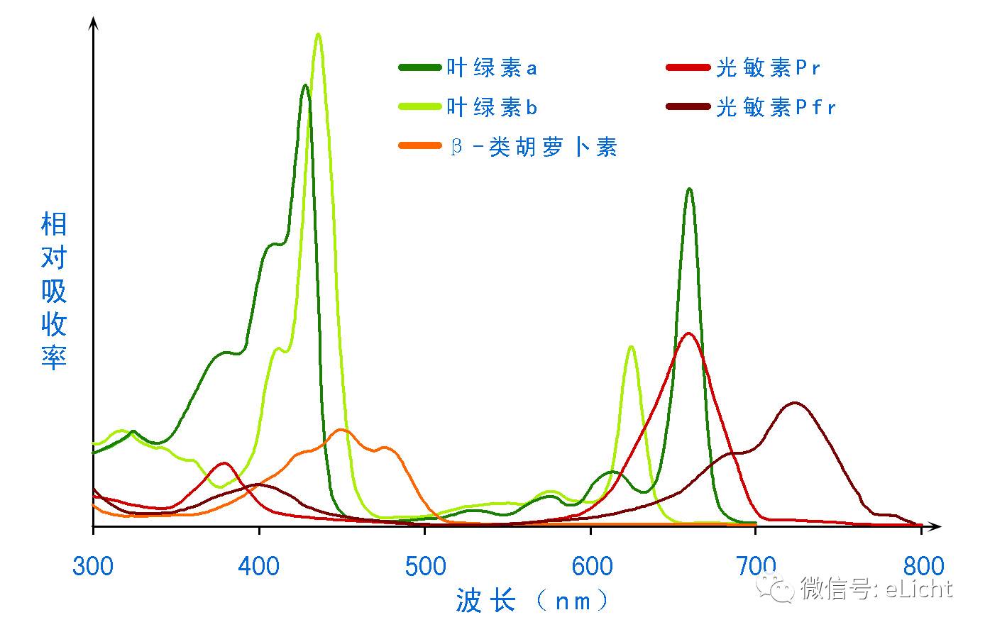 图6:色素的光合作用吸收的光谱从图6可以看出,叶绿素a和叶绿素b对太阳