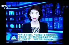刚刚！中央电视台发表长篇讲话要求整治亮化工程、政绩工程、面子工程