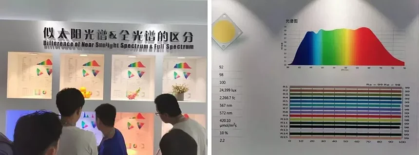 564 (62)
