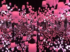 二刷了teamlab的bordless展