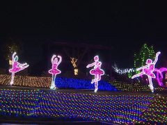 山东省核桃园镇白虎山动物园变成了灯的海洋，丰富了人们的夜生活