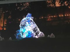 谁在说有光