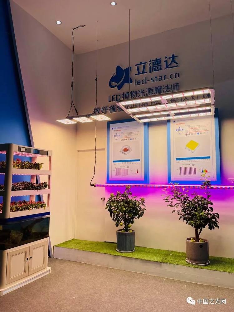 微信图片_20210804104123
