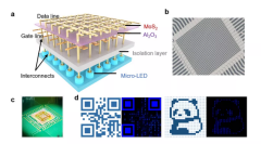 南京大学团队在与Micro LED相关的二维半导体领域取得关键突破